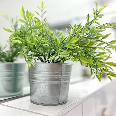 Papillon 07-7 Apartamento Boltenhagen (Ostseebad)